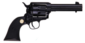 CHIAPPA 1873-22 22LR/22M BLACK