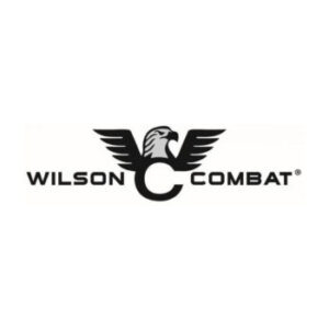 ACP 9MM 4.25" 10+1 SS