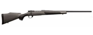 VANGUARD 223REM BL/SYN 24" #