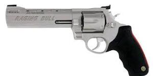 RAGING BULL 44MAG SS 6.5" 6SH
