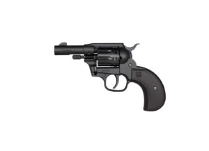 SIDEKICK 22LR/22M BK BIRDSHEAD