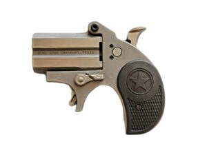STUBBY 380ACP SS 2.2" FS