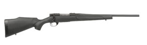 VANGUARD OBSIDIAN 243WIN 22"